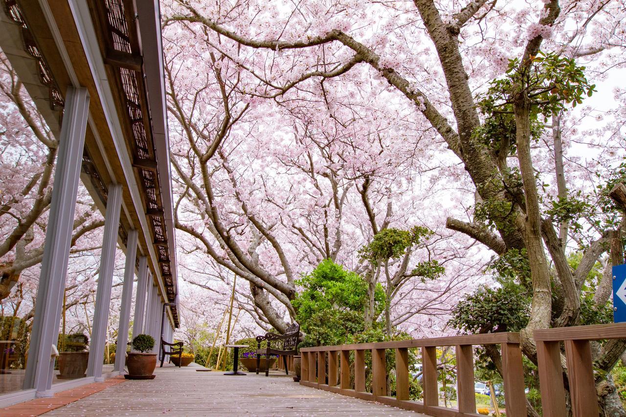 Resort Hotel Moana Coast Naruto  Exterior foto